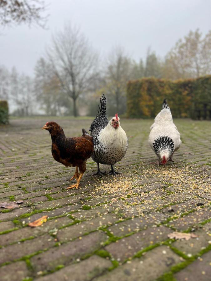 De Appelhoeve Terschuur Exterior foto